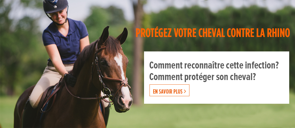 Zoetis rhinopneumonie chez le cheval