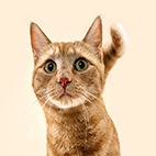 Resource Image