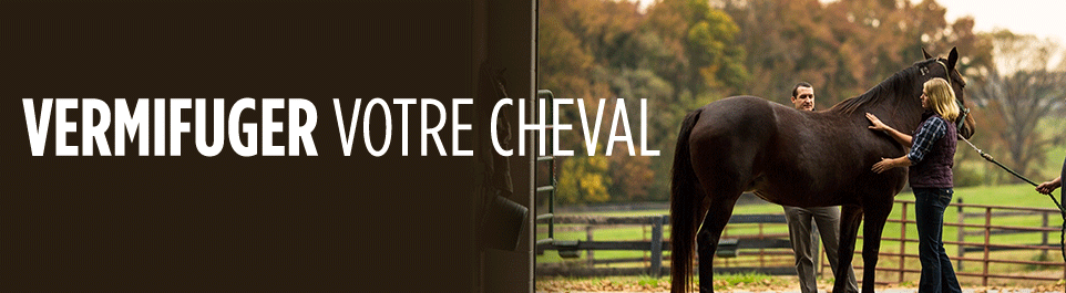 vermifuger votre cheval