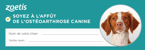 OA Pain Chien Form