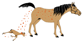 Horse Abortus